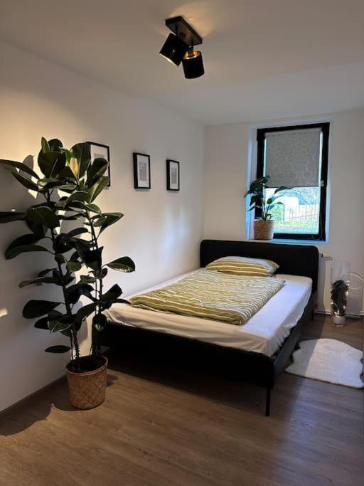 Urban Apartments Weimarer Land Buttelstedt Exterior photo